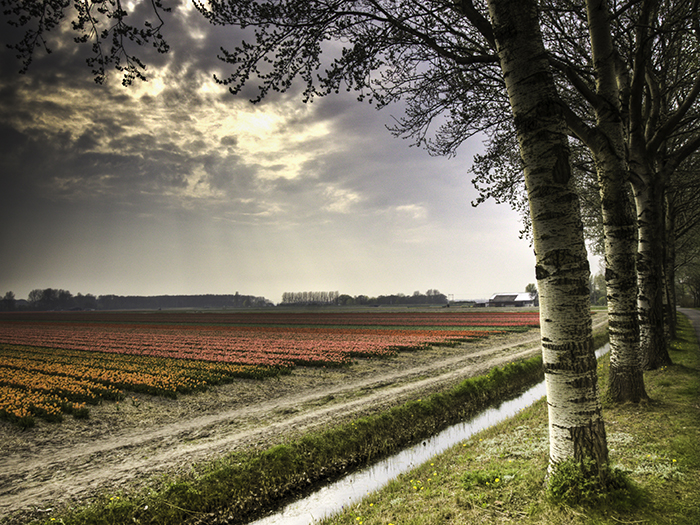 Van cultuurlandschap naar wildernis